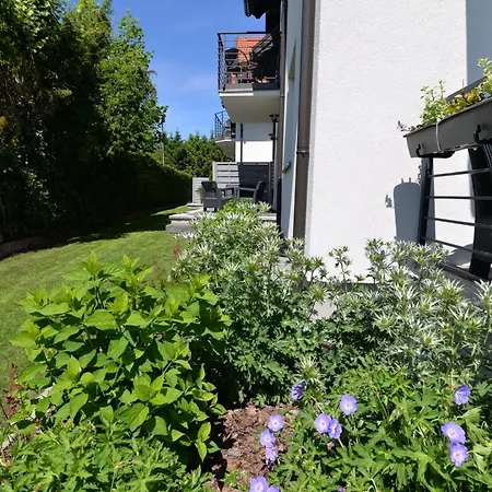 Piaskowy 2 詹塔尔