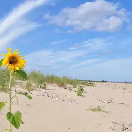 Piaskowy 2 * 詹塔尔